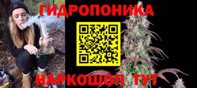 спиды Камышлов