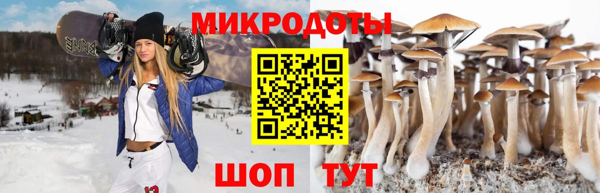 Людиново  Псилоцибиновые грибы Psilocybe  Вход с VPN 